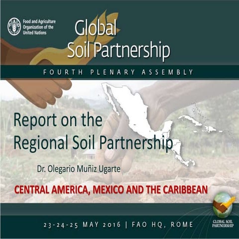 Report on the CENTRAL AMERICA, MEXICO AND THE CARIBBEAN Soil Partnership