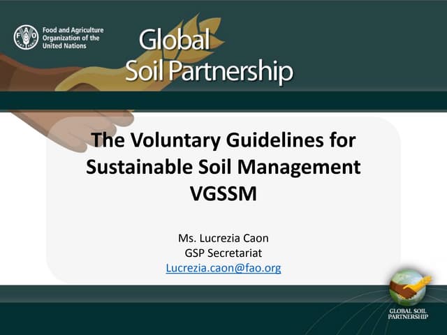 The Voluntary Guidelines for Sustainable Soil Management