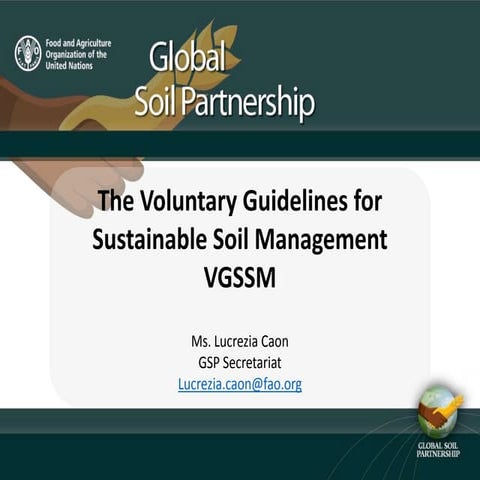 The Voluntary Guidelines for Sustainable Soil Management
