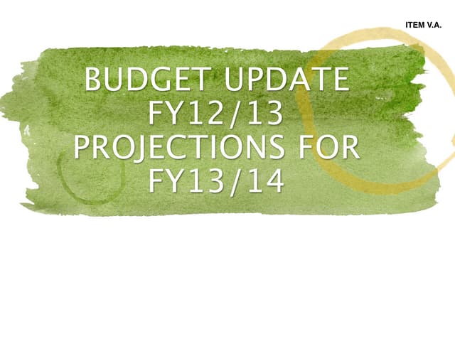 Lisa Sahulka budget presentation