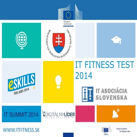 Vyhodnotenie IT Fitness Testu 2014
