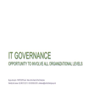 It governance process