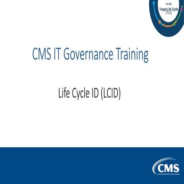 IT Gov Training - LCID - Slides (1).pptx