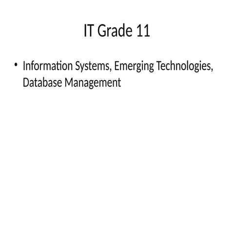 Comprehensive IT Grade 11 Curriculum Covering Information Systems ...
