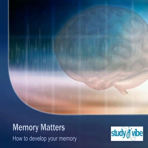 I think memory matters