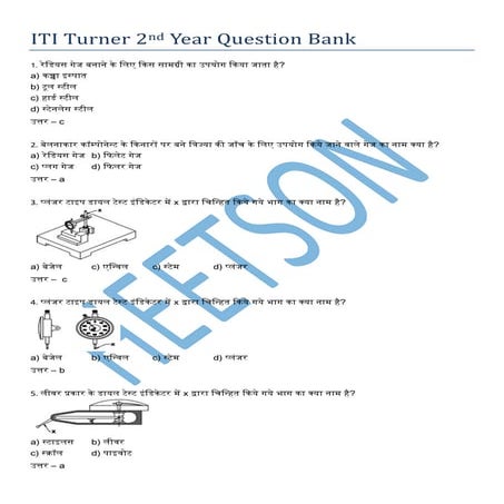 Turner Theory 2nd Year Exam Questions MCQ