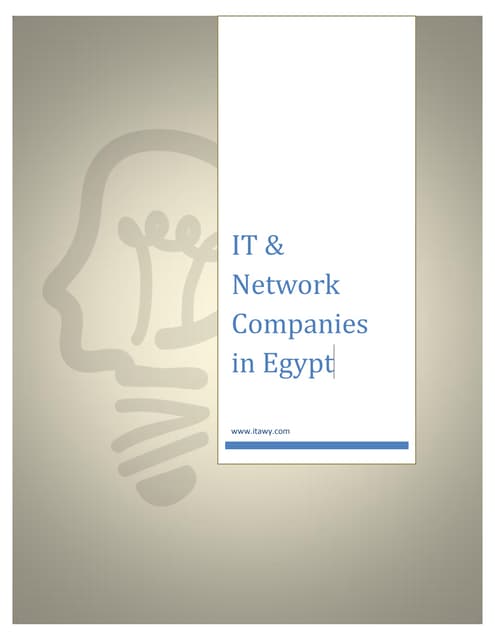 IT & Network Companies in Egypt