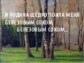 поила меня березовым. слова песни березовый сок. картинки и родина щедро поила меня березовым соком. и родина щедро поила меня. и родина щедро поила меня березовым соком.