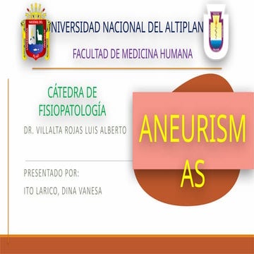ITO LARICO, Dina Vanesa - ANERURISMAS.pptx