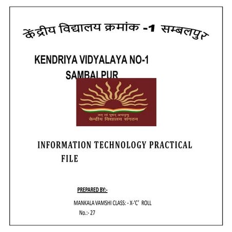 IT Practical File (2).pptx