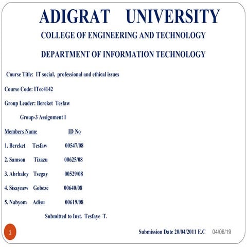 It professional assignment