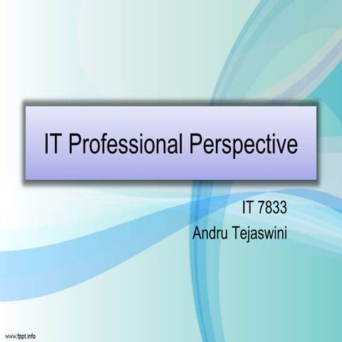 IT Professional Perspective Final Slides