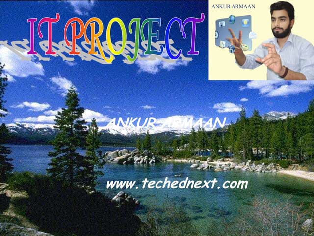 It project