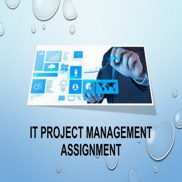 It project management assignment ppt