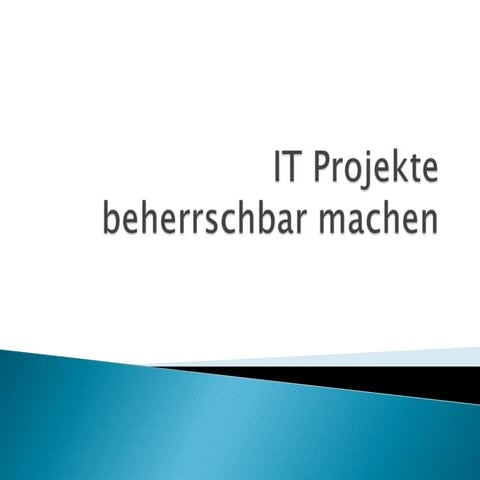 IT Projekte beherrschbar machen