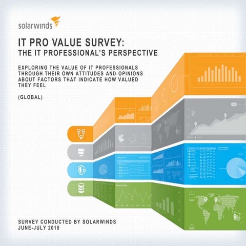 IT Pro Value Survey: The IT Professional's Perspective (Global)