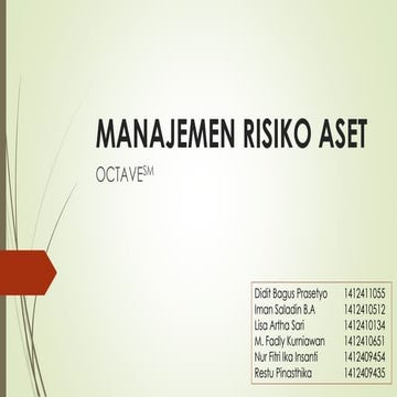 It risk management with octave sm