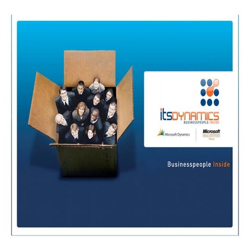 ITS-Dynamics about the company