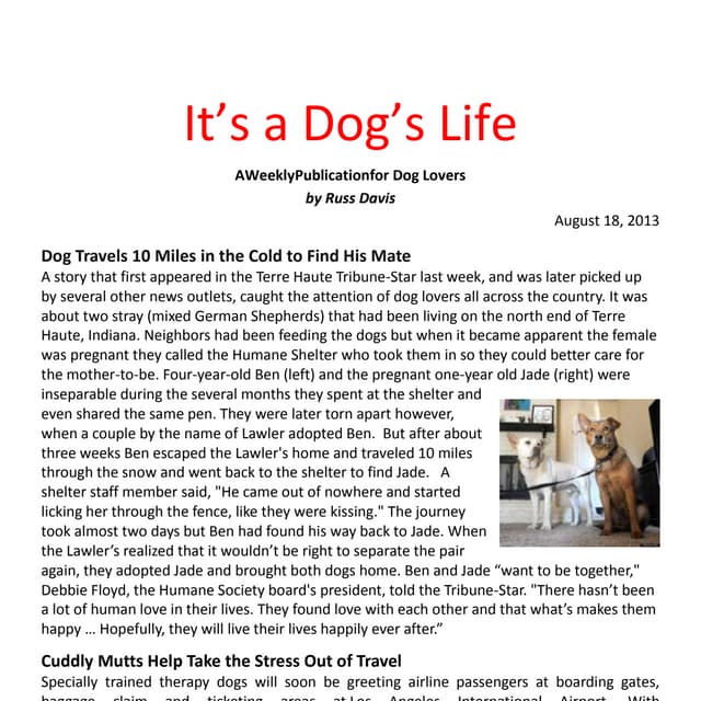 It's a dog's life august 18th