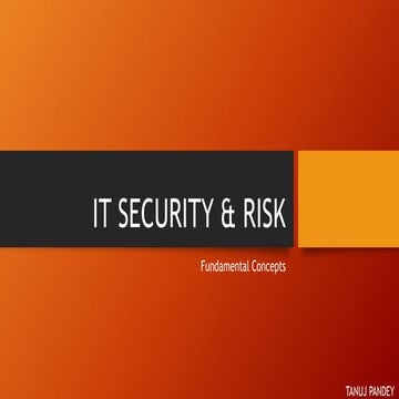 IT Security & Risk 
