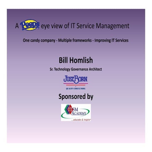 Peeps Eye View of IT Service Management
