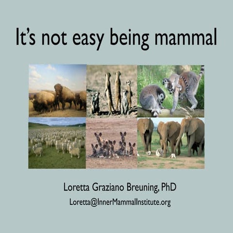 It's not easy being mammal