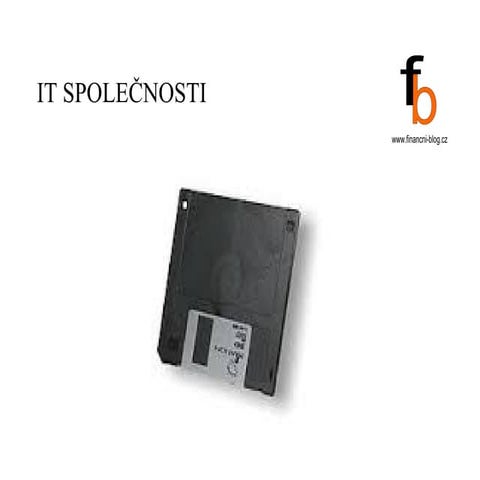 It společnosti
