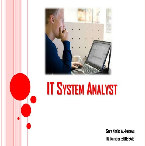 IT system analyst