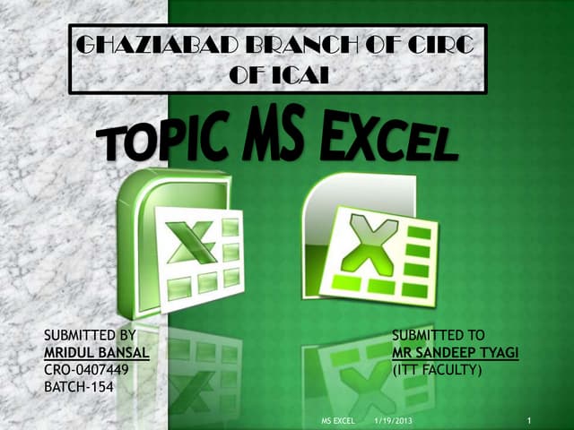 MS EXCEL PPT PRESENTATION