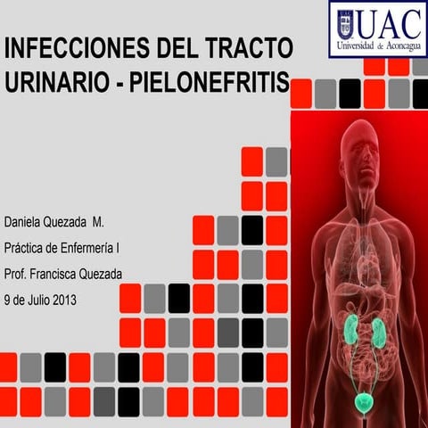 ITU Pielonefritis 