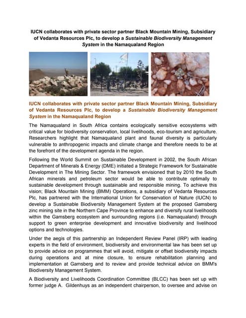 IUCN collaborates with private sector partner Black Mountain Mining, to develop a Sustainable Biodiversity Management System in the Namaqualand Region