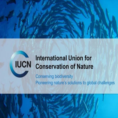 IUCN General Presentation