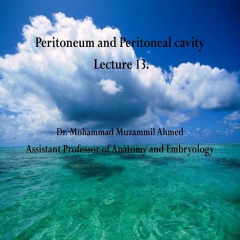 peritoneum and peritoneal  cavity