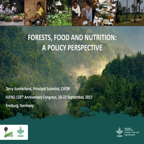 Forests, food and nutrition: A policy perspective