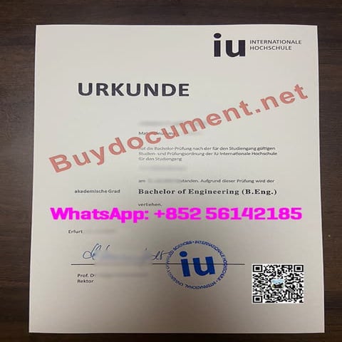 IU International University of Applied Sciences degree