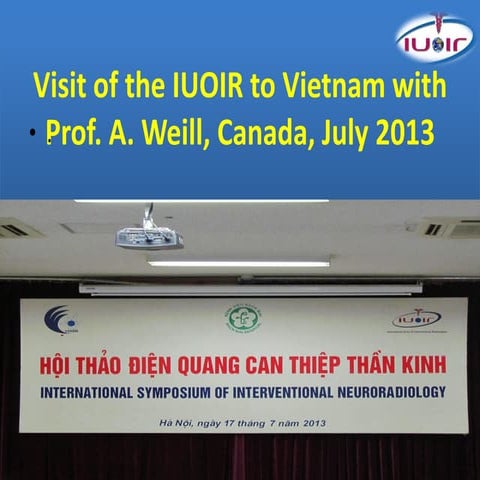 Iuoir in vietnam2