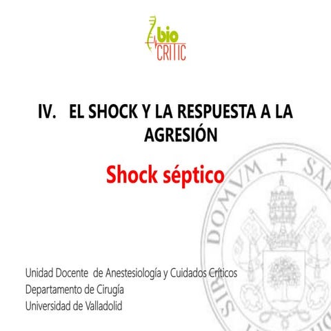 Iv.4. shock septico