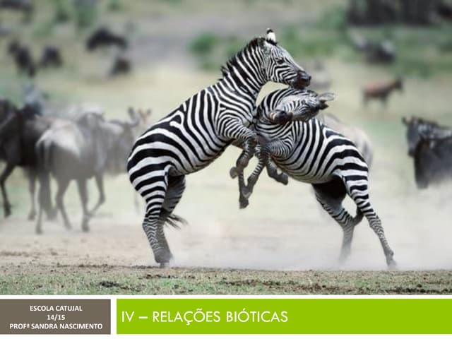 IV - FATORES BIÓTICOS