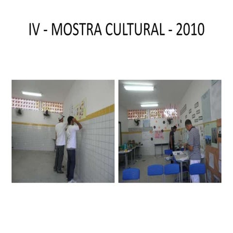 Iv   mostra cultural - 2010