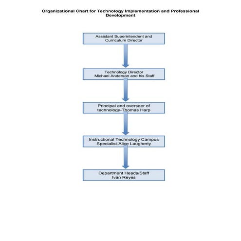Ivan's week 4 organizational chart for technology implementation and professi...