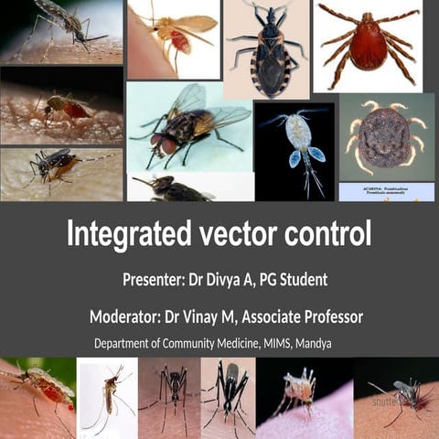 Integrated vector management (IVM) is a rational decision-making ...