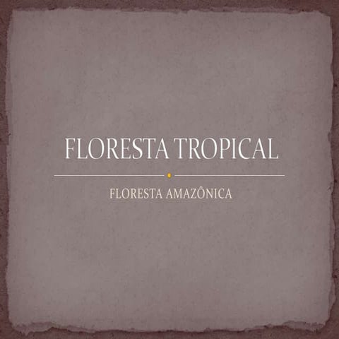 Floresta Tropical