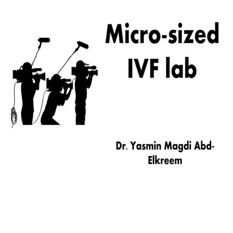 Ivf lab microsized