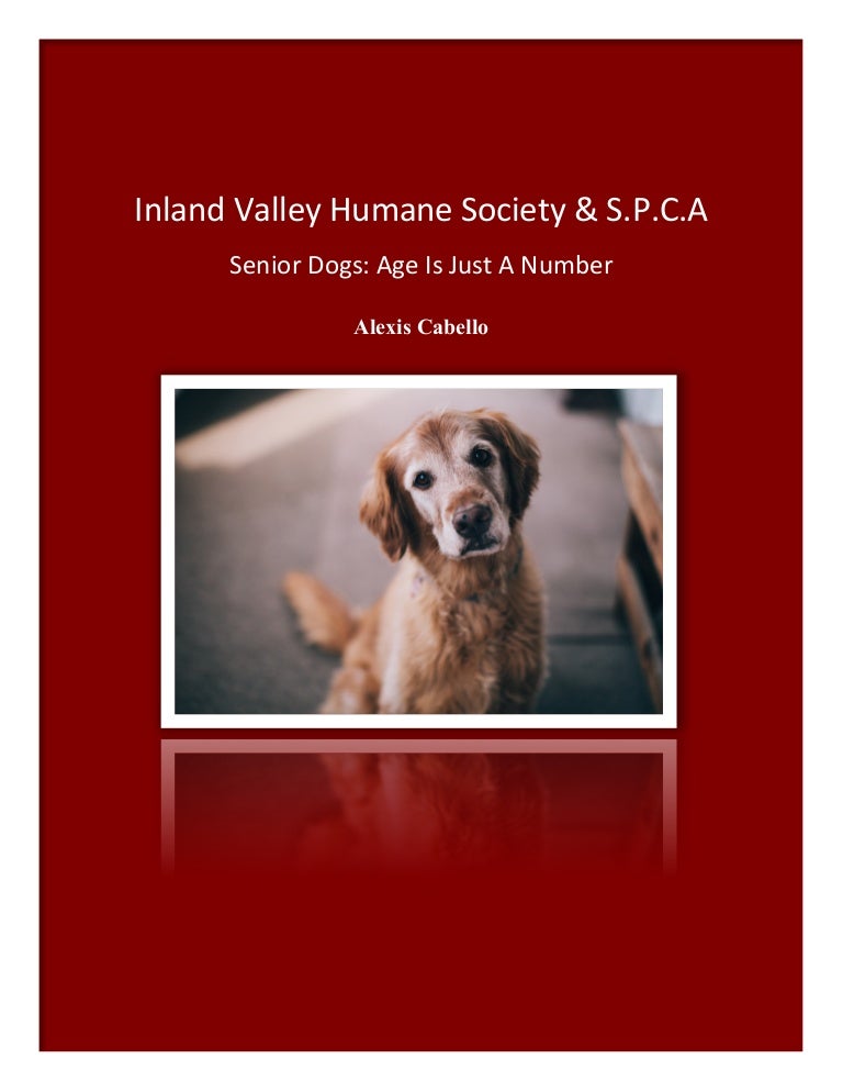 inland valley humane society & spca