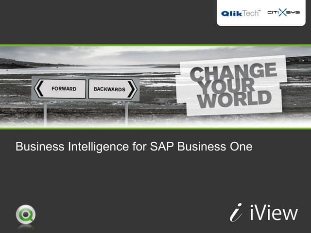SAP Business One Business Intelligence