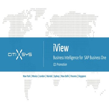 iView Business Intelligence for SAP Business One - Product Promotion Q12013