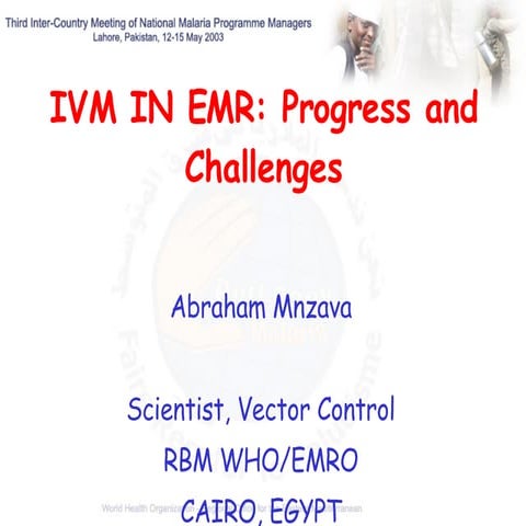 Ivm Implementation Mnzava