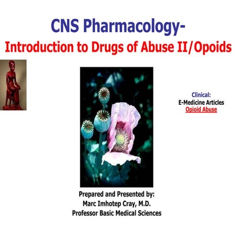 IVMS-CNS Pharmacology- Intro to Drugs of Abuse II-Opioids