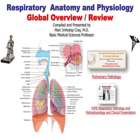 IVMS-Respiratory  Anatomy and Physiology Global Overview / Review