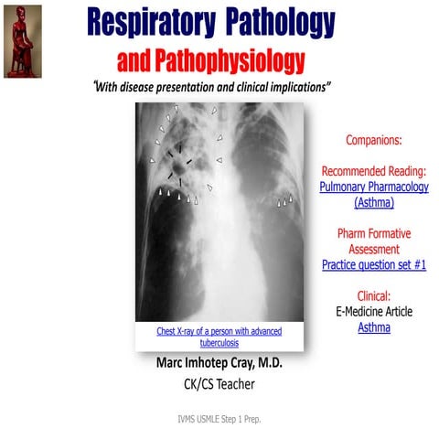 Respiratory  Pathology and Pathophysiology and Clinical  Presentations